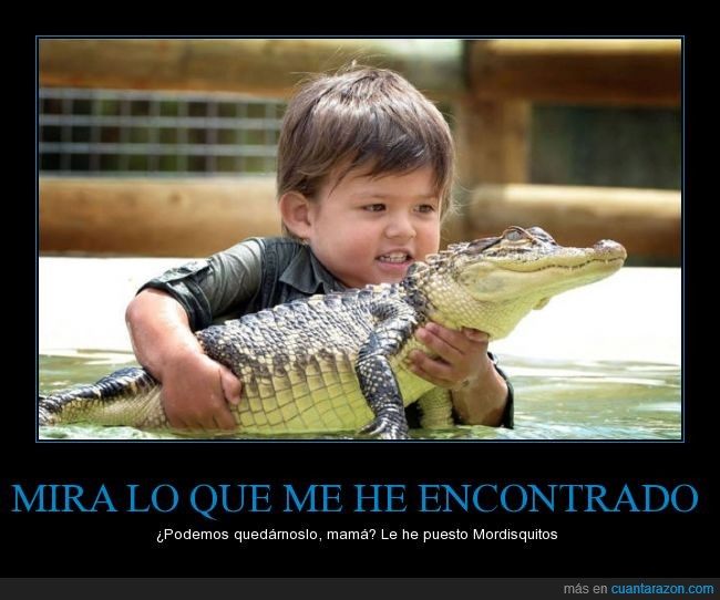 cocodrilo,cria,crio,niño,niña,bebé,peligro,mini Steve Irwin